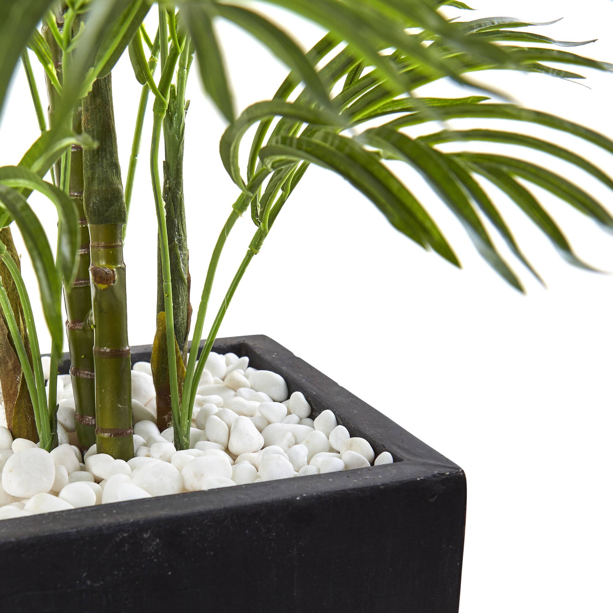 4.5ft. UV Resistant Areca Palm Tree with Black Wash Planter